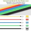 11-Piece Resistance Bands Set with Door Anchor & Ankle Straps (100 LB)