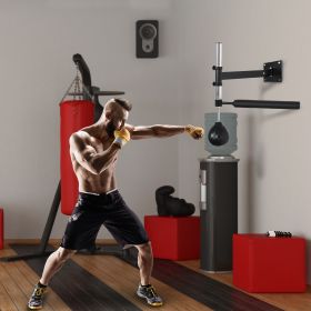Lightweight Fast-Reflexes Speed Bag Boxing Punching Bag Wall Mount Height Adjustable, MMA, Martial Arts, and Boxing Equipment for Training at Home