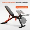 DAV Adjustable Preacher Curl Weight Bench With Leg Extension