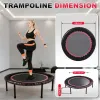 48" Springless Mini Fitness Trampoline - Quiet Indoor/Outdoor Bungee Rebounder