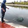 Fishing Trap Net Portable Folding Fish Bait Trap Shrimp No Crab Bait Net