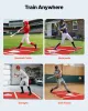 Baseball Hitting Mat, 10x3.8 ft Batting Cage Mat, Batters Box Turf Mats, Softball Batting Practice Equipment with Home Plate and Anti Fade Turf