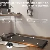 Under Desk Treadmill with Incline,Walking Pad for Home/Office,Portable Walking Treadmill 1.0HP,Walking Jogging Machine with 242 lbs Weight Capacity