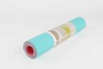 2-Tone TPE Premium Yoga Mat