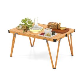 Folding Camping Table with Storage Bag for Outdoor Trip (Type: Camping Table, Color: Brown)
